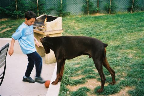 cuni chien|Zoophile, VO